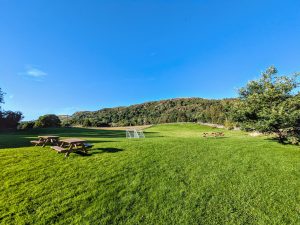 Oak Head Caravan Park