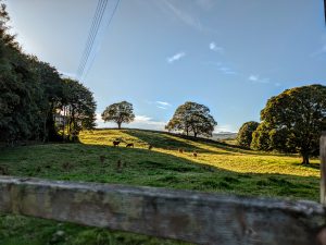 Oak Head Caravan Park